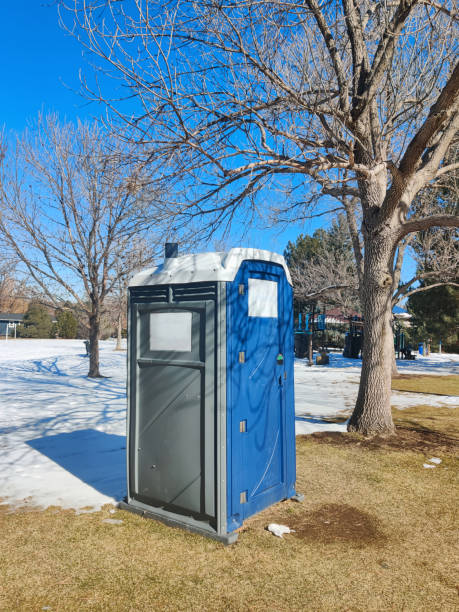 Best Portable Restroom Servicing (Cleaning and Restocking) in Davis Junction, IL